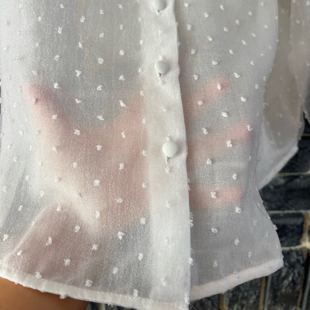 Zara White Sheer Polka Dot Blouse - Picture 8 of 10